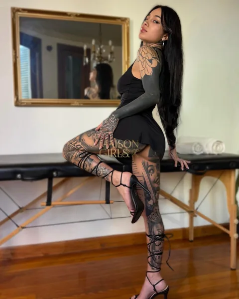 Perfil de Dakota D